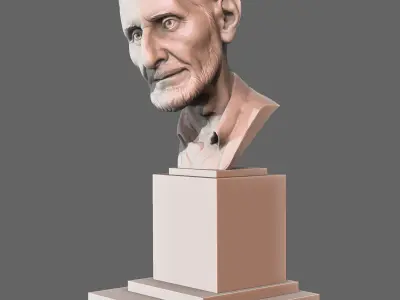 The Old Man Bust 3D print model