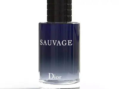 DIOR SAUVAGE 3D model