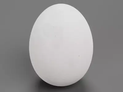 -White Egg- 3D model