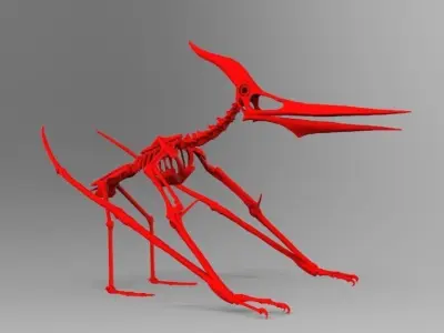 Pteranodon Skeleton 3D print model