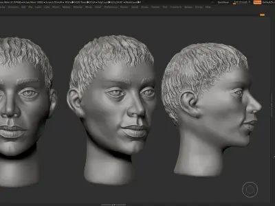 human female head modern sculpture 3d print model 113 3D print model