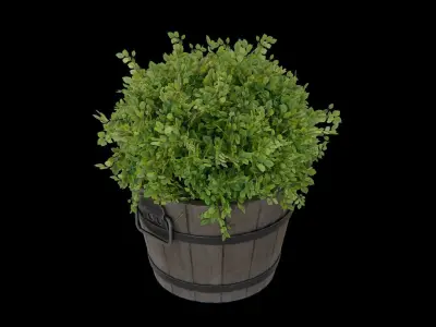 Wooden Bucket with Plant Low-poly 3D model