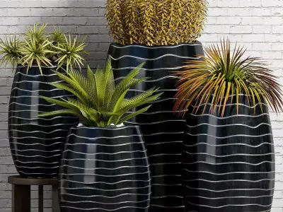 Decorative plant set-47 3D model