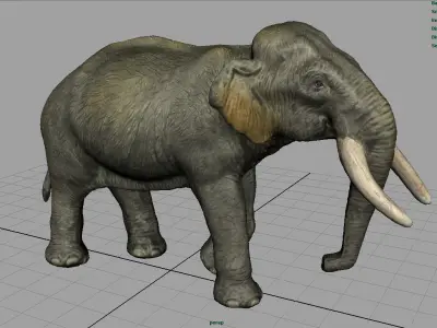 Asian Elephant Mother Low-poly 3D model