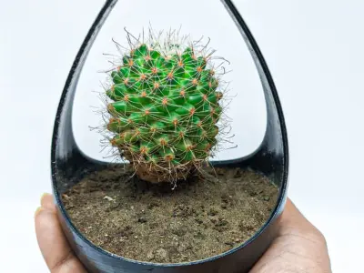 Hangable Planter Free 3D print model