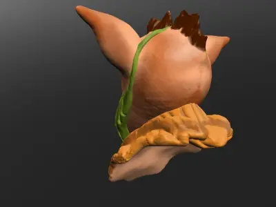 Big Ear 3D model