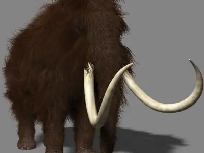 Hollywood Mammoth - 3d model 3D model