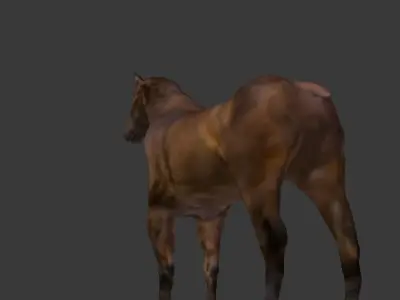 Horse Textured 3d Model 3D model
