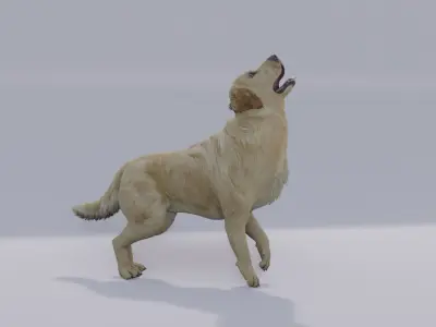 Golden Retriever animated 3D 3D model