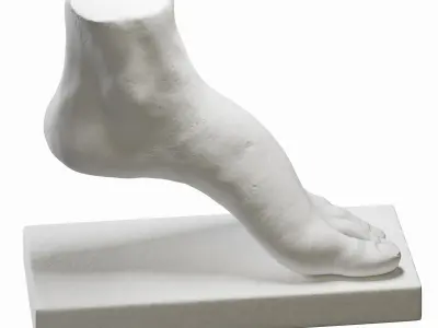 foot sculpture 3D model