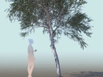 Olea europaea olive trees 3D Model Collection