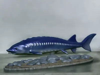 sturgeon vyza fish underwater statue detailed texture 3D print model