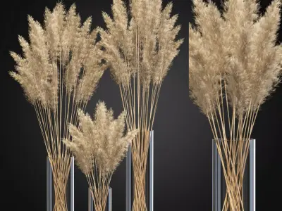 Decorative Pampas 3D model