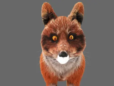 Fur Fox Rigged 01 Low-poly 3D model