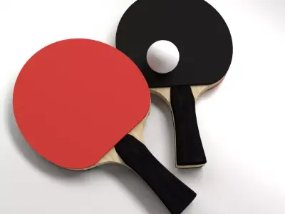 Table Tennis Set 3D model