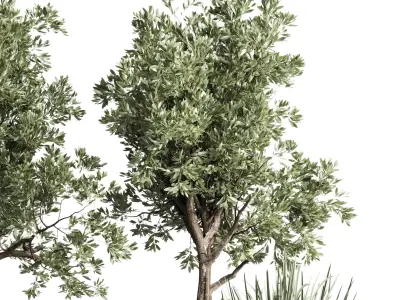 Collection indoor outdoor plant tree grass vase dirty concrete 3D model