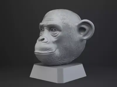 Chimpanzee Bust - Animal Figurine 3D print model