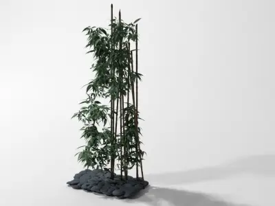 Bamboo plant 3D model