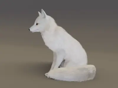 Arctic Fox  3D model