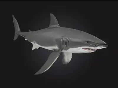 Great White Majesty  Apex Power Beneath the Waves 3D model