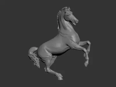 A rearing horse 3D model