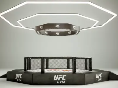UFC MMA Ring Octogone 3D Model 3D model