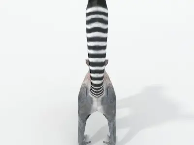 Lemur Low-poly 3D model