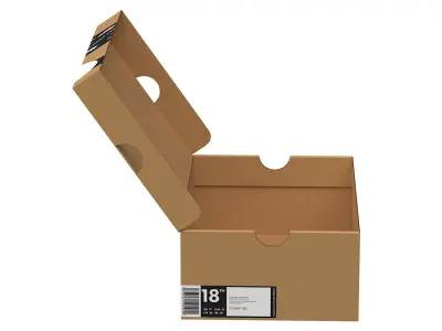 Nike Shoe Box PBR 20 Low-poly 3D model