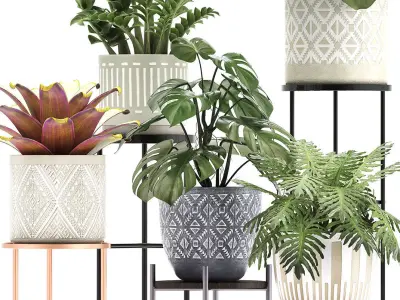 Collection of Exotic plants 3D model