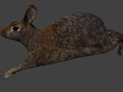 Rabbit Low-poly 3D model shop