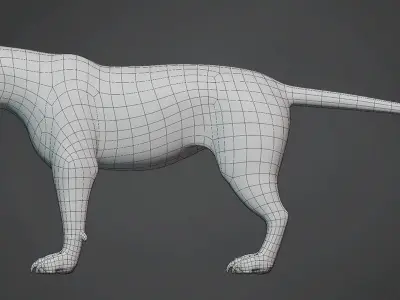 Lion Big Cat Base Mesh Low-poly 3D model