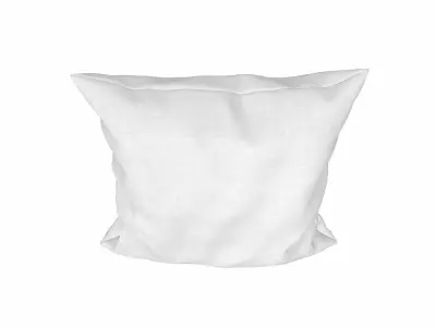 Solid Pillow 16 3D model