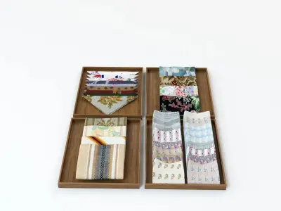 Laid Cloth Showcase 3D model