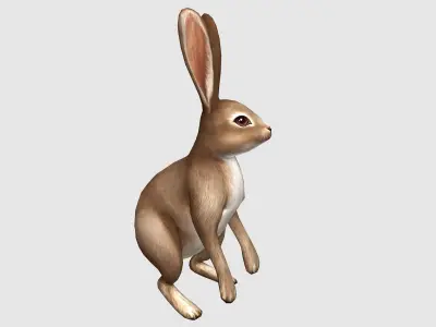 hare rabbit bunny animation  Low-poly 3D model