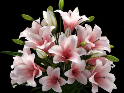 LILY 2 lilies in vase 3D model