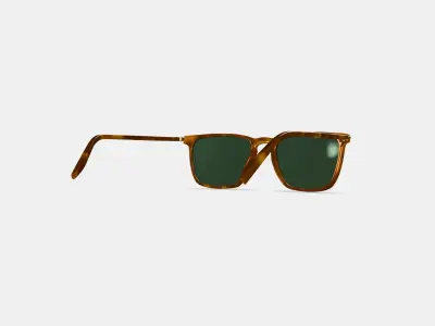 Sutton Sunglasses in Saddle Tortoise with Polished Gold 3D model