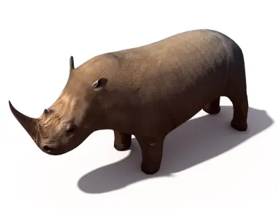 Rhino rhinoceros Low-poly 3D model