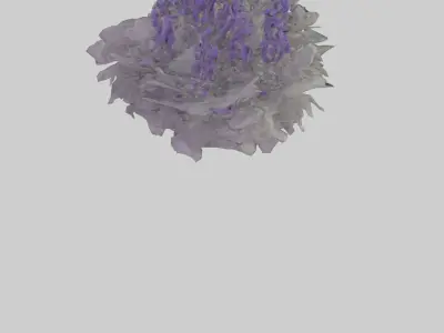 Salvia model Low-poly 3D model
