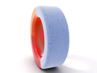 Vibrant Wooden Ring model pack Low-poly 3D model