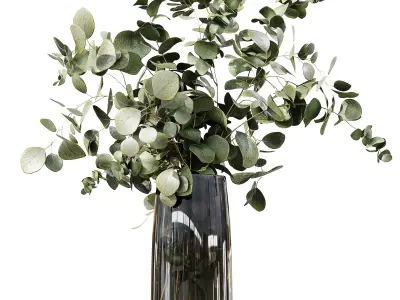 Collection Indoor Plants 010 3D model