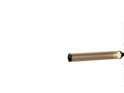 Pipa Pendant 3D model