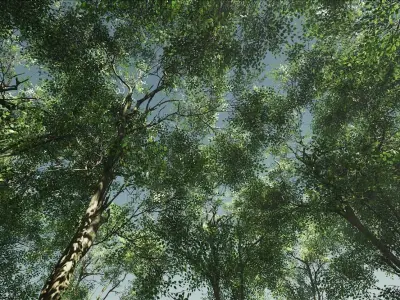 Small Vegetation pack for UE4 Low-poly 3D model