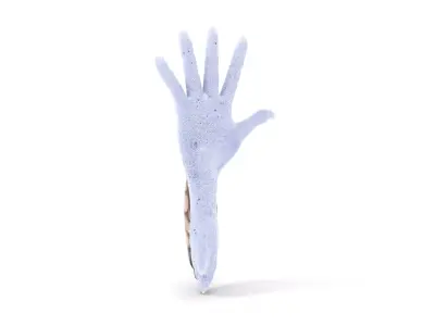 HandFrog Hybrid Model Pack with Zebra Pattern Low-poly 3D model