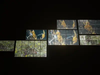Nature Photo Tiles for modern Kitchens and Bathrooms frames Low-poly 3D model