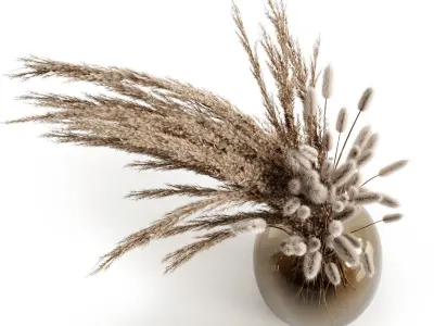 A bouquet of dry plants 3D model