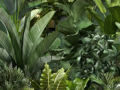 Collection of potted plants for the interior of 20 pieces NEW 3D model