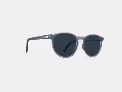 Biren Sunglasses in Dove Grey Low-poly 3D model