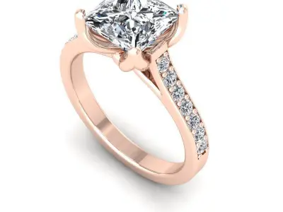 3D CAD NJ-1083-Ring 3D print model