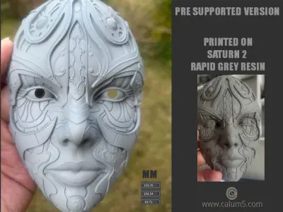 ATHENA WALL MASK 3D print model