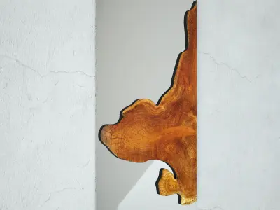 Teak Root Mirror 4 3D model